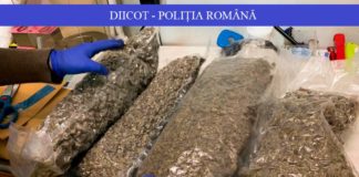 Acuzaţi că alimentau elevi cu droguri la petreceri private! Tinerii trebuie să dea ochii cu magistraţii ieşeni! canabis
