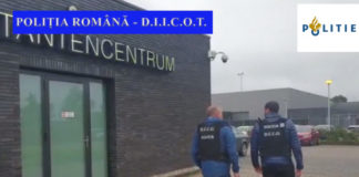 Cei mai periculosi proxeneti din Iasi prinsi dupa o operatiune ca-n filme. Politia olandeza a descins in Moldova
