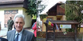 Sef de ocol silvic condamnat pentru spaga. Banii, de la un deputat PSD