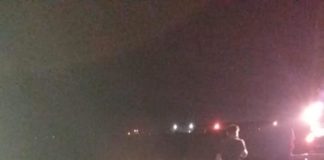 Accident provocat de un porc mistret la Letcani