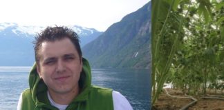 Uluitor! Seful Politiei infiintase de 5 ani o plantatie de cannabis cu sistem de irigatii