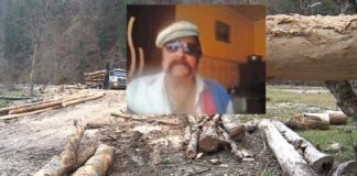 Mafia Padurii executata crunt ieri: 100 de ani de inchisoare