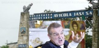Nepoții lui Gigi Becali chemați la bară pentru devalizarea  Avicola Iași Avicola Iasi si Gigi Becali