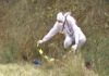 Criminalist, cercetare la fata locului