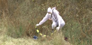 Crimă oribilă, în Iaşi! Victima nu a avut nicio şansă după ce a fost înjunghiată cu cuţitul! (EXCLUSIV) Criminalist, cercetare la fata locului