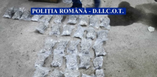 Politistii au gasit 10 kilograme de cannabis in rezervorul unei masini