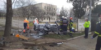 Accident cumplit, doi tineri dintr-un BMW au murit pe loc. Galerie foto