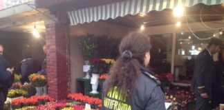 Un simplu florar din Iasi a fost prins cu o evaziune de 40.000 euro