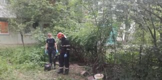 incident canal Musatini