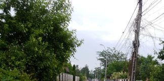 Apa Vital condamnata sa despagubeasca o artista. I-a inundat de 4 ori curtea cu dejectii dejectii stradela Culianu