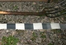 Crimă oribilă, la Iași! Omorât în bătaie cu bâte, ghioage și topoare de șase tineri! O furca