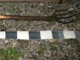 Crimă oribilă, la Iași! Omorât în bătaie cu bâte, ghioage și topoare de șase tineri! (EXCLUSIV) O furca