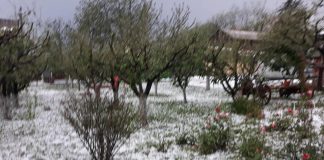 Furtuna de ieri a facut ravagii in judet, in special in zona Pascani. Galerie foto