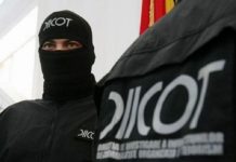 Rețea de trafic de droguri, destructurată la Iași! Cei patru au fost arestați! perchezitii DIICOT