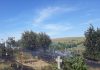 Cimitirul din Harlau a luat foc din cauza gunoaielor abandonate de un primar incompetent incendiu cimitir Harlau