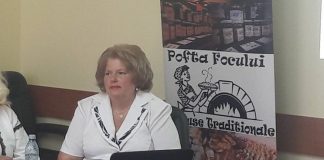 DNA  Iași a mai dat de gard un dosar. Procurorul a plagiat un rechizitoriu Elena Toma, fost viceprimar Ciurea