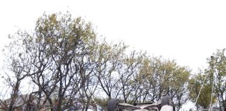 Spectaculos accident rutier la Costești, județul Iași