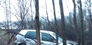 Un șofer beat mangă a intrat cu mașina n copac. Accident la Dobrovăț