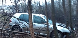 Șofer de 29 de  ani arestat după ce intrat cu mașina în copac