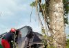 Accident grav. O mașină a intrat într-un copac, două victime accident Boureni -Motca
