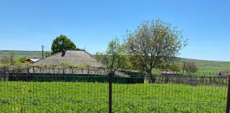 Tragedie! O tânără de 17 ani s-a spânzurat in localitatea Hodora, comuna Cotnari casa in care s-a locuia Denisa Balan cu bunica