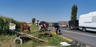 Căruță spulberată de o mașină pe drumul european la Letcani. Galerie foto accident: caruta spulberata pe drumul European