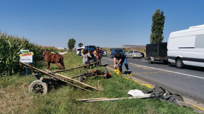 accident: caruta spulberata pe drumul European