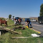 accident: caruta spulberata pe drumul European