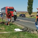 accident: caruta spulberata pe drumul European