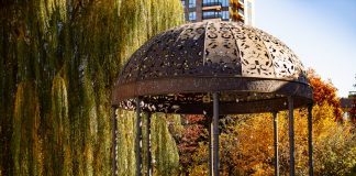 GALERIE FOTO: Momente de respiro acompaniate de nuanțele arămii ale naturii, în parcul Palas Toamna in parcul Palas