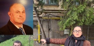 Asistentă medicală bătută crunt in primărie de viceprimar, consilier și un funcționar Emanuela Mihai montaj Mihai Gavriloaia si Mihaila Lorian