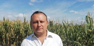 Anticorupția descinde la APIA Iași. Doi funcționari și un fermier l-au denunțat pe director. Document Sergiu Jitareanu