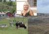 Parcul de 1 milion de lei făcut de Udrea la Iași a dispărut. Primar: ‘’Era într-o mlaștină’’ montaj parcul din Bals, parcul demolat si Elena Udrea
