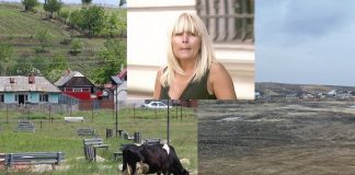 Parcul de 1 milion de lei făcut de Udrea la Iași a dispărut. Primar: ‘’Era într-o mlaștină’’ montaj parcul din Bals, parcul demolat si Elena Udrea