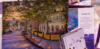 ARTĂ DIN M¬ĂRGELE, IDEEA UNUI HOBBY TRANSPUSĂ DE UN ANTREPRENOR LOCAL ÎN PALAS MALL, PRIN PROGRAMUL GO LOCAL arta din margele-Roxart