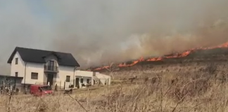 Un incendiu uriaș a amenințat vilele din Bucium. Focul s-a intins pe 100 de hectare. Video incendiu Bucium