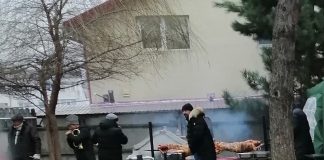 Țiganii au confiscat un cimitir din Iași. Purcei la proțap, creștinii n-au fost lăsați să-și depună morții. Foto porci la protap in Cimitirul Buna Vestire