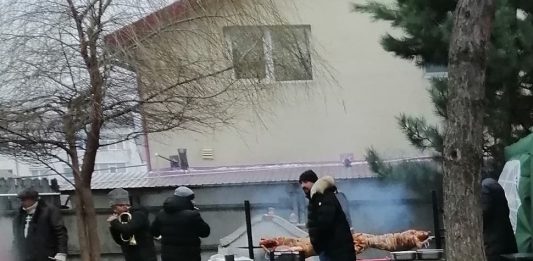 porci la protap in Cimitirul Buna Vestire