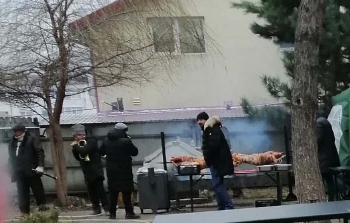 porci la protap in Cimitirul Buna Vestire