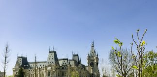 Un nou spaţiu verde şi de relaxare pentru comunitate. Din weekend, esplanada din faţa Teatrului „Luceafărul” îi aşteaptă pe ieşeni cu o nouă amenajare peisagistică esplanada Teatrul Luceafarul