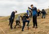 Voluntarii IULIUS s-au implicat în campanii de împădurire în Iași, Cluj și Timișoara împădurire United Business Center (UBC)