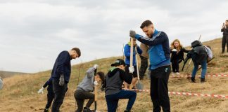 Voluntarii IULIUS s-au implicat în campanii de împădurire în Iași, Cluj și Timișoara împădurire United Business Center (UBC)