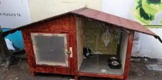 Scenariu horror! Un pặrinte și-a ascuns fiul decedat în cușca câinelui pentru pensia de handicap cusca in care a fost gasit copilul