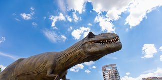 GALERIE FOTO: Dinozaurii T-Rex, Mamut, Velociraptor și alte 23 de exemplare animatronice în mărime naturală pot fi vizitate la Palas dinozauri Palas-T Rex
