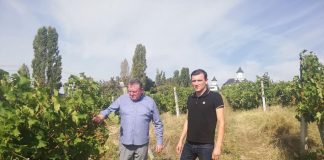 Antifrauda bate la ușa lui Deleanu după culesul viei. Cotnari SA: gaură de peste 1 milion de euro la buget Cotnari SA, Constantin si Remus Deleanu