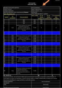 stat de plata Lacramioara Ursu