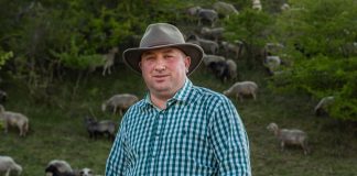 Declinul milionarului Cimpoeșu. Afacerea construită pe ilegalități s-a năruit Marius Cimpoesu