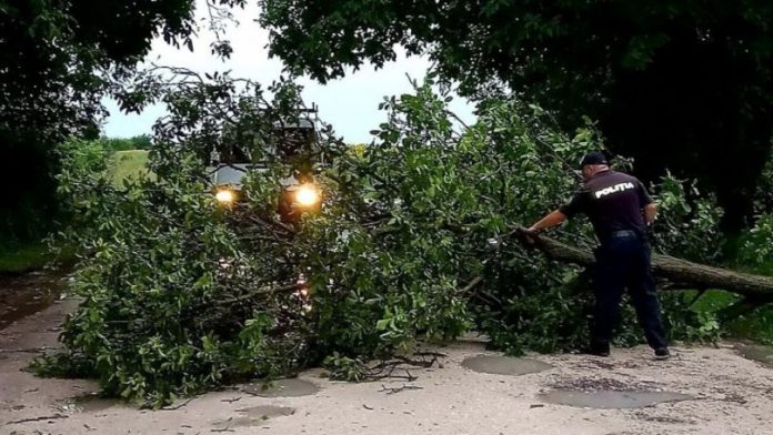 Un politist incearca sa degajeze un drum de crengile cazute din copaci
