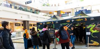 Cu ce se hrănesc șerpii? Dar o iguană și un gecko? Mai sunt 3 zile în care poți vizita expoziția cu reptile vii de la Palas Taranterra proiect