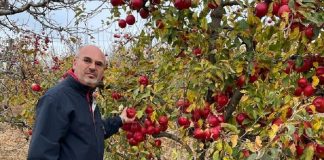 Maricel Popa face praf încă o afacere cu terenul statului. Moșia șefului PSD Iași a fost ‘’confiscată’’ Maricel Popa ar fi trebuit sa reiinfiinteze o livada de mere